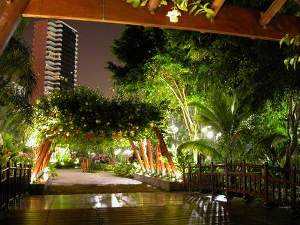 Iluminando el jardín Iluminando el jardín