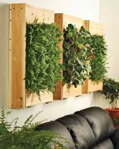 wall-planters.jpg