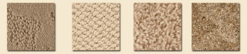 fig19.jpg