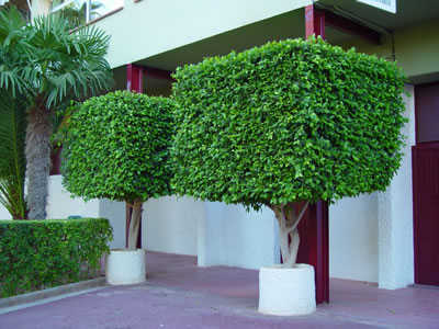 Imagen 0/2