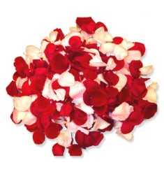 sacode_petalos.jpg