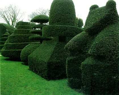 topiaria.jpg