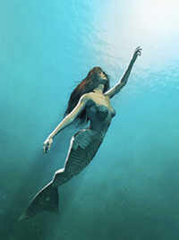 picture-5.jpg