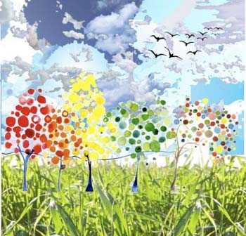 Imagen 5/6