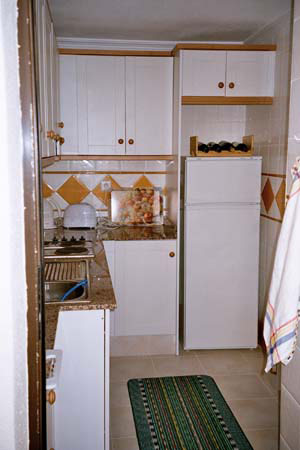 fig1.jpg