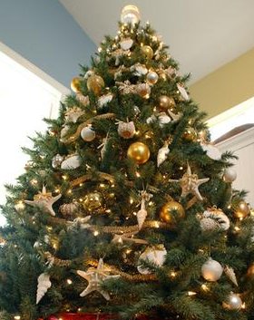 seashell-christmas-tree.jpg
