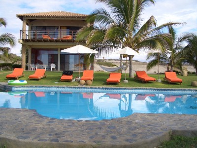 palmera.jpg