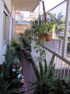 decoterraza1.jpg