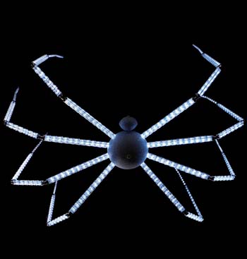 aranazoom1.jpg