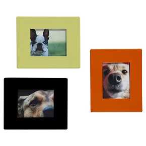 minimagnetframesf7