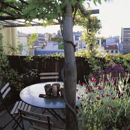 balcon41