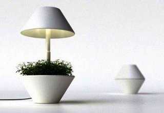 lightpot-ed03