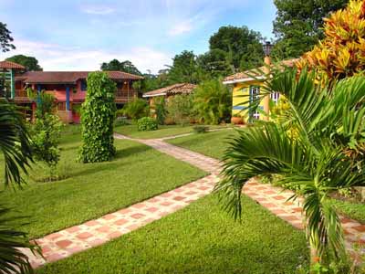 decorapaisaj