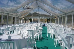 Carpa transparente 012