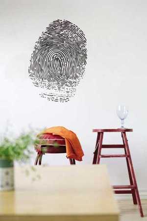 fingerprint_big