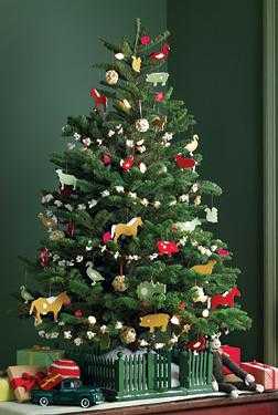 tiposarbol1