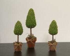 tiposarbol3
