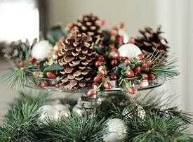 tiposarbol4