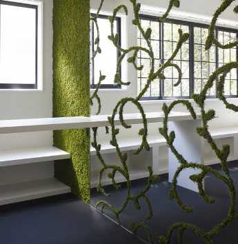 moss_house_04