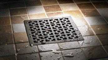 Imagen 0/3