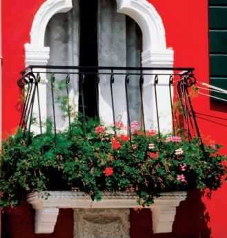 Imagen 0/1