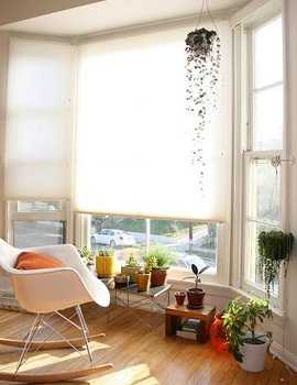 indoor garden 2