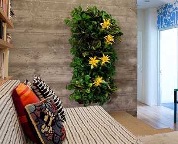 jardines de interior