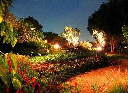 disenhar-jardin2