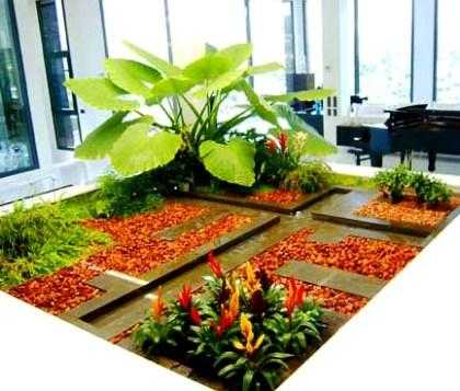 disenhar-jardin3